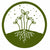 Well Rooted Microgreens - Home